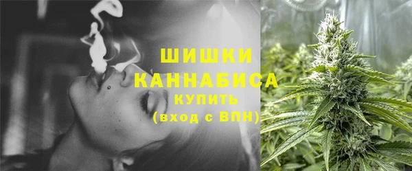 мдпв Дмитриев