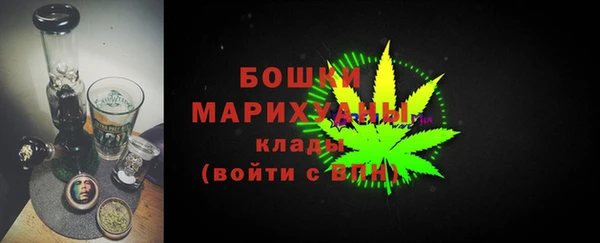 мдпв Дмитриев