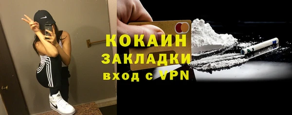 мдпв Дмитриев