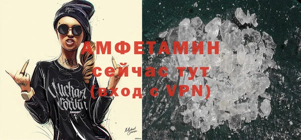 мдпв Дмитриев