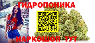 стаф Кандалакша