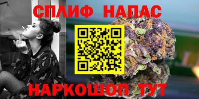стаф Кандалакша