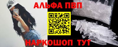 стаф Кандалакша