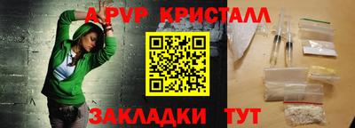 стаф Кандалакша