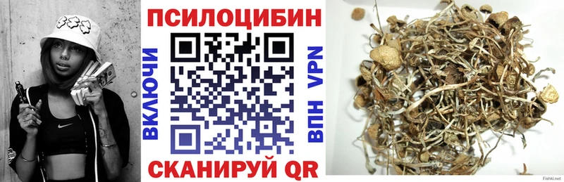 гидра маркетплейс  Братск  Псилоцибиновые грибы Magic Shrooms 