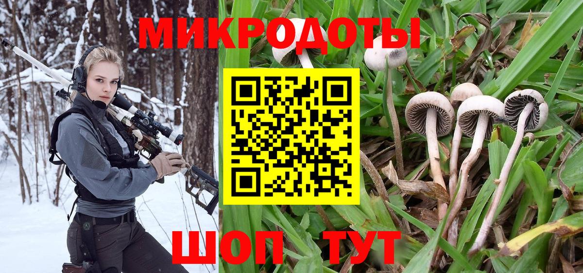 Братск  Псилоцибиновые грибы MAGIC MUSHROOMS  Галлюциногенные грибы ЛСД  Вход с VPN 