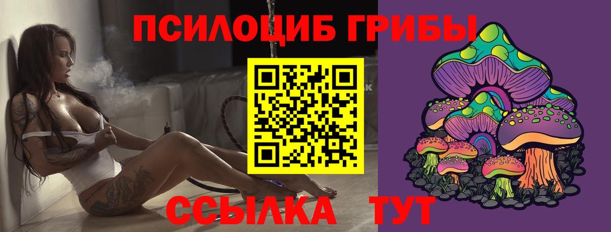 Псилоцибиновые грибы ЛСД  Псилоцибиновые грибы Psilocybine cubensis  Братск 